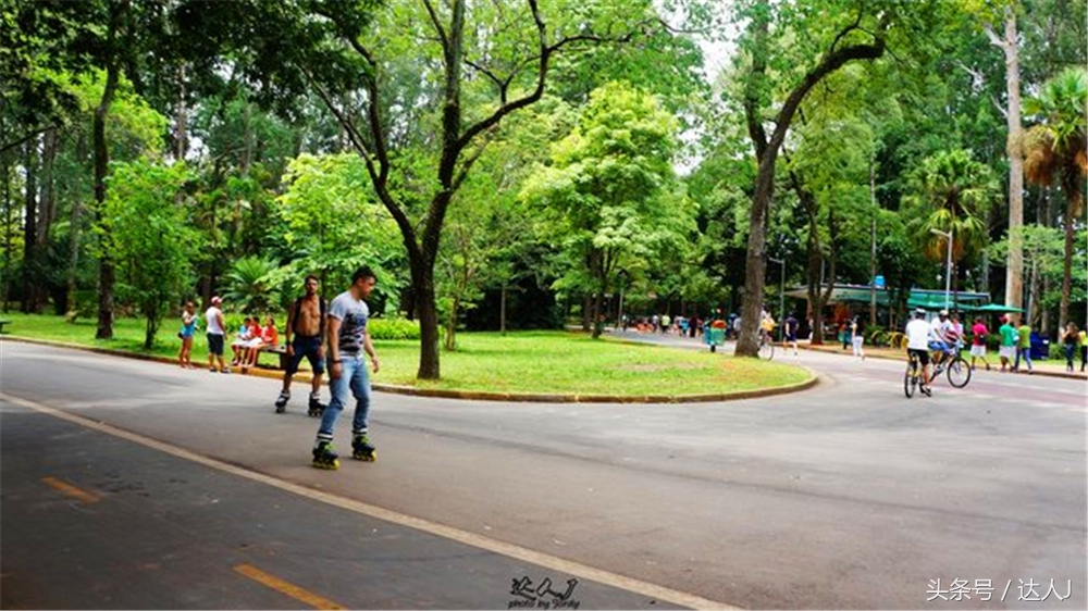 达人J：巴西的盛宴