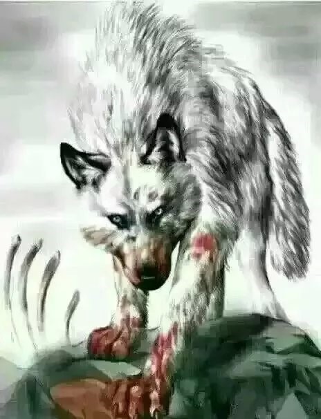 讲讲我这个穷二代闯荡社会的一些感悟走出迷茫(连载2)