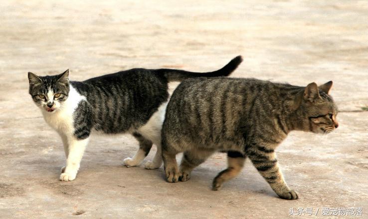 三人行必有我师其二,三人行必有我师2