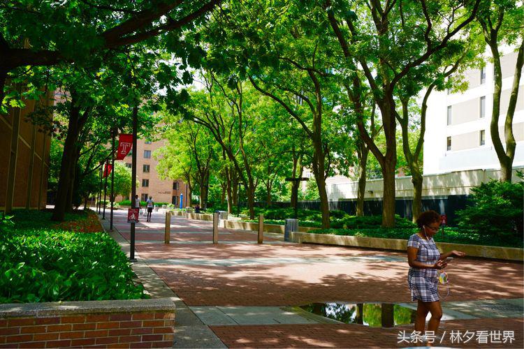 美国天普大学在哪个州,美国费城的大学