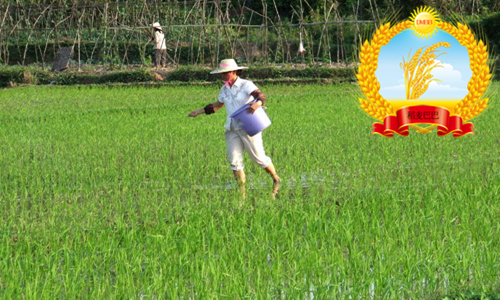 农友撒尿素,农民对化肥认知错误