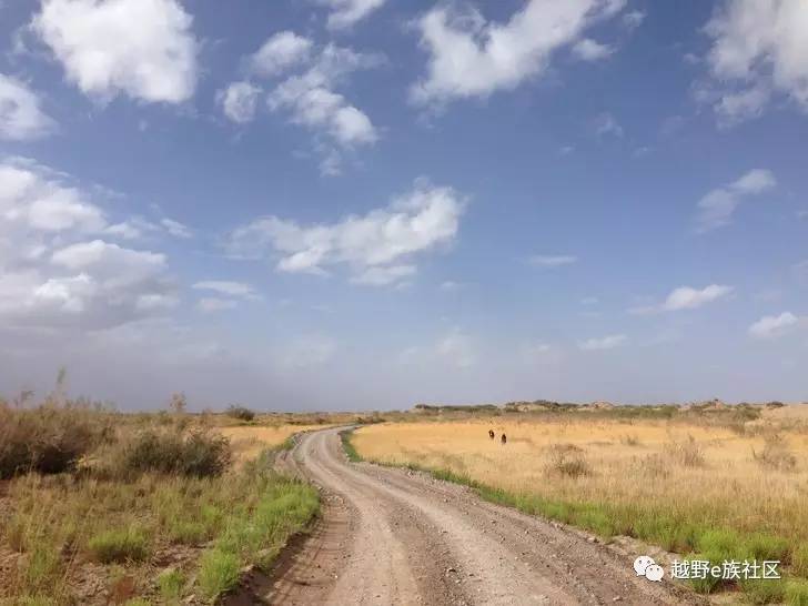 我与“她”可可西里二十天零距离的故事