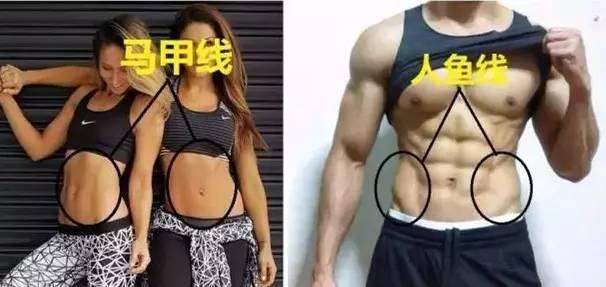 人鱼线等级划分图解,人鱼线等级对照表