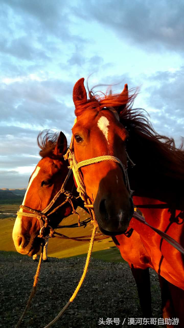 呼伦贝尔漠河旅游攻略夏季,呼伦贝尔漠河环线自由行