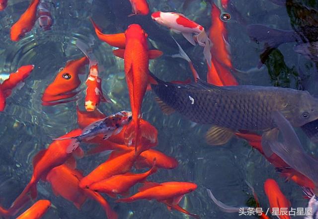 转运最快的小技巧是什么,有什么办法可以转运