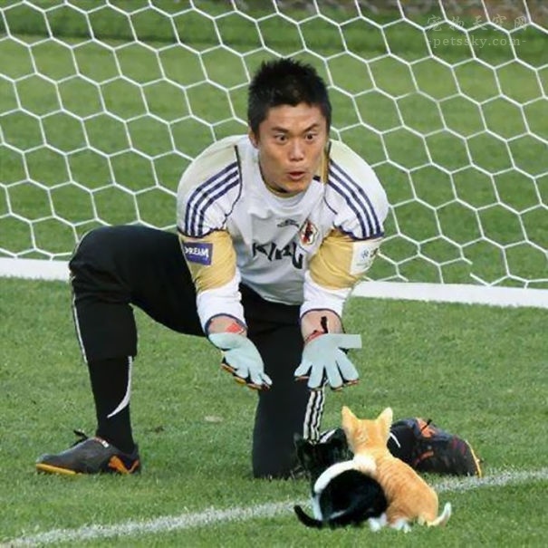 鎬庝箞鎶婅冻鐞冨仛鎴愮珛浣撶殑ps,鎶婅冻鐞僷鎴愮尗