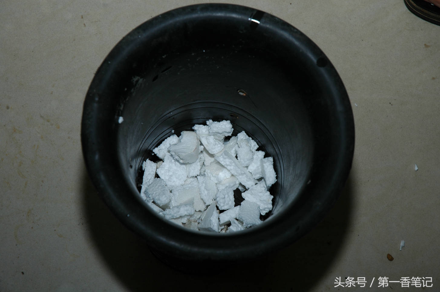 颗粒植料上盆养兰视频,滇西养兰人讲兰花上盆