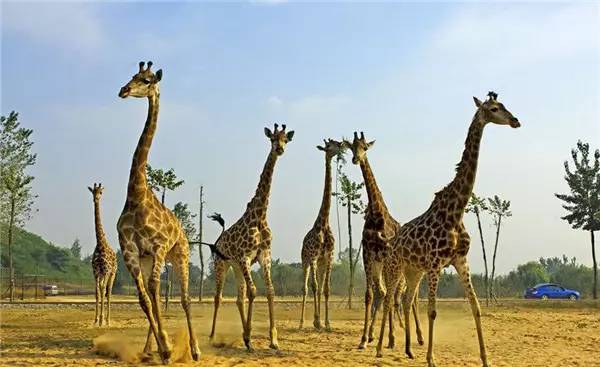 京津冀，听说你们缺一份避暑攻略？驿雲小编已给你们备好！