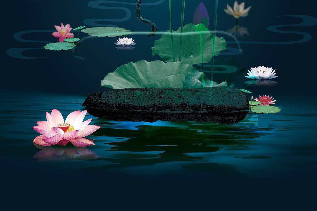 欧元来历,欧元基础知识讲解