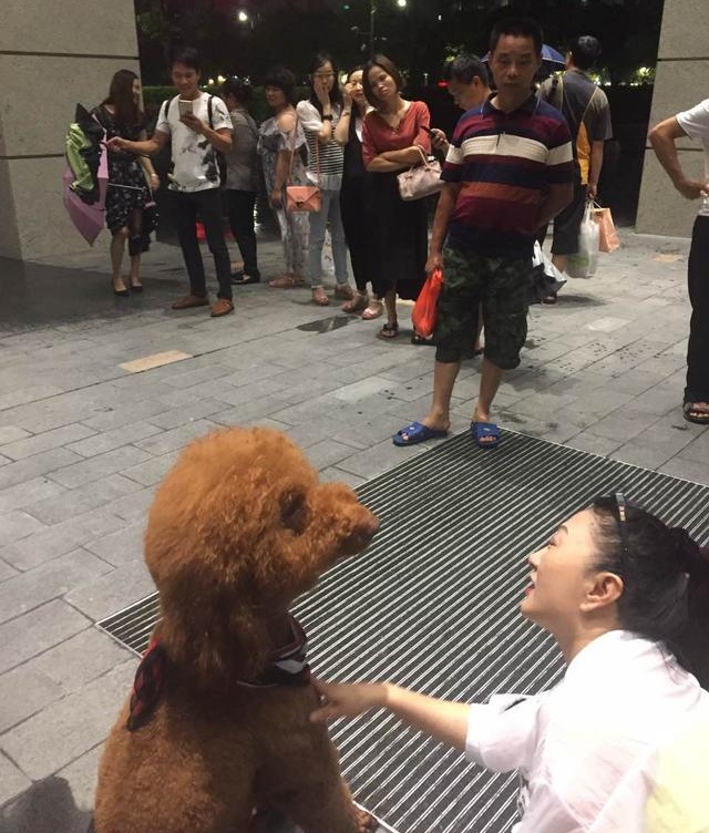 这么大的泰迪输出肯定不比人差,难怪这么多女的喜欢