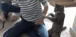 媳妇把酒瓶子放下，别玩了