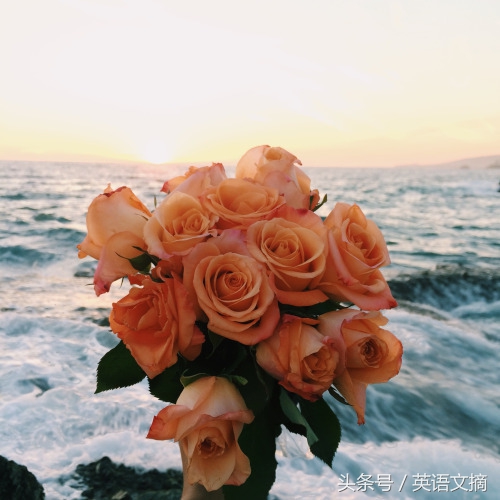 你是我今生的挚爱英文,你是我今生的挚爱英语翻译