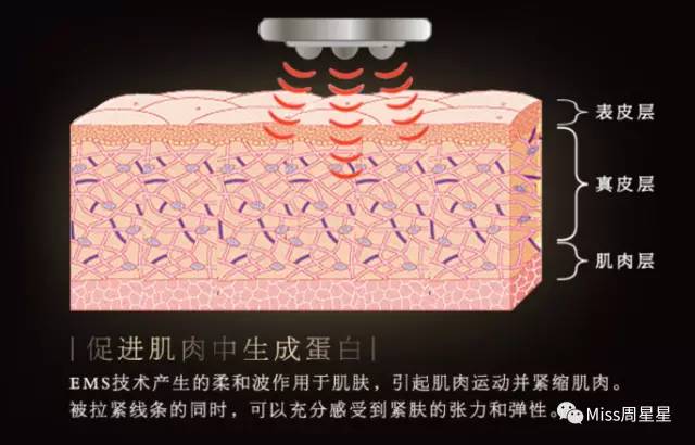 听说美容仪用了就能变美？盘点日本最火的十款美容仪