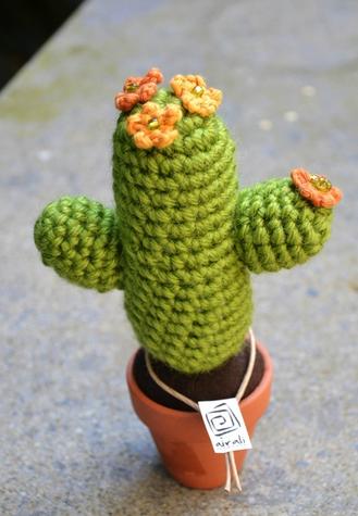 蒲公英治痔疮最好的办法,治痔疮痒最好的办法