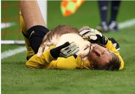 足球的ps搞笑图,足球恶搞ps