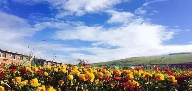 浮云牧场酒店推荐,浮云牧场网红酒店