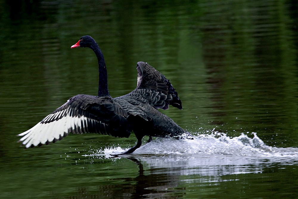 夏一站，我在仙林高校等你