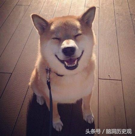 为什么说属羊女的不好,为什么说属羊的女的不好