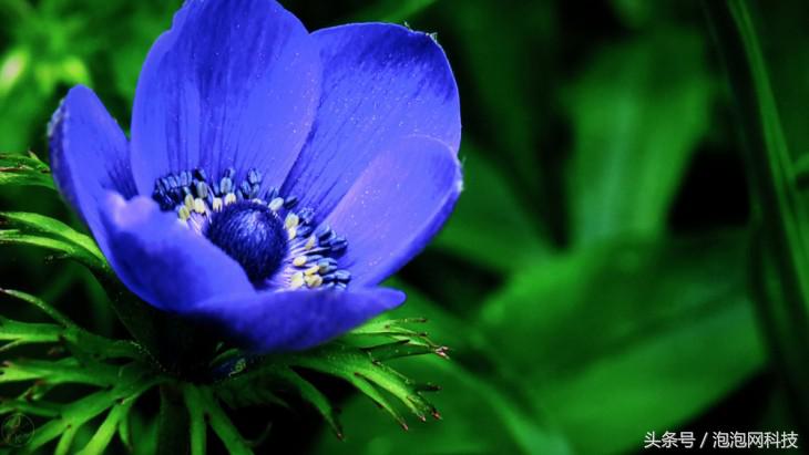 小米4a60寸,小米电视4aroot