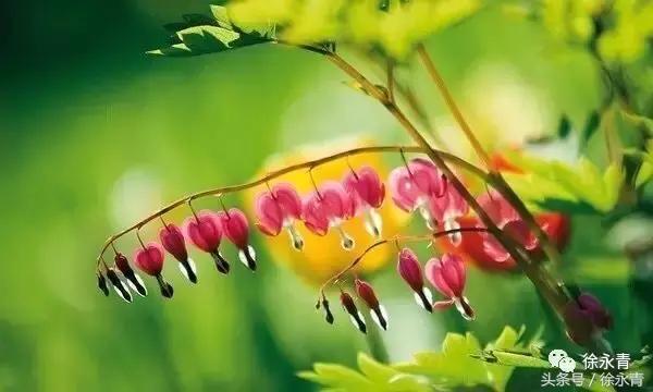 怀揣梦想做有志少年,怀揣梦想做自己