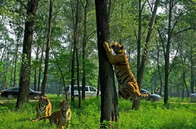 京津冀，听说你们缺一份避暑攻略？驿雲小编已给你们备好！