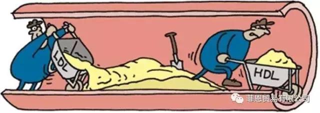 吃酵素进行肝胆排毒是真的吗,服用酵素可以补充活性酶