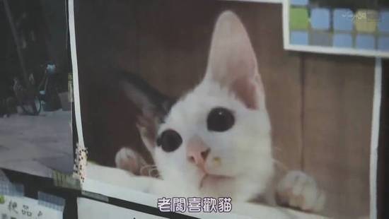 涓滀含娣卞椋熷爞鏈変粈涔堝ソ鍚冪殑,涓滀含娣卞椋熷爞鍝濂藉悆