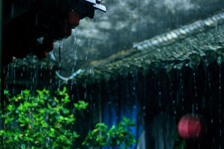 发现一个世外桃源的地方真美,有一处叫世外桃源的地方