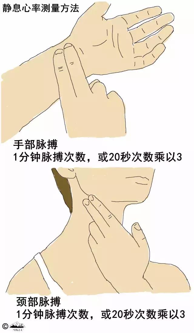 户外登山体力训练,登山提升爬坡能力