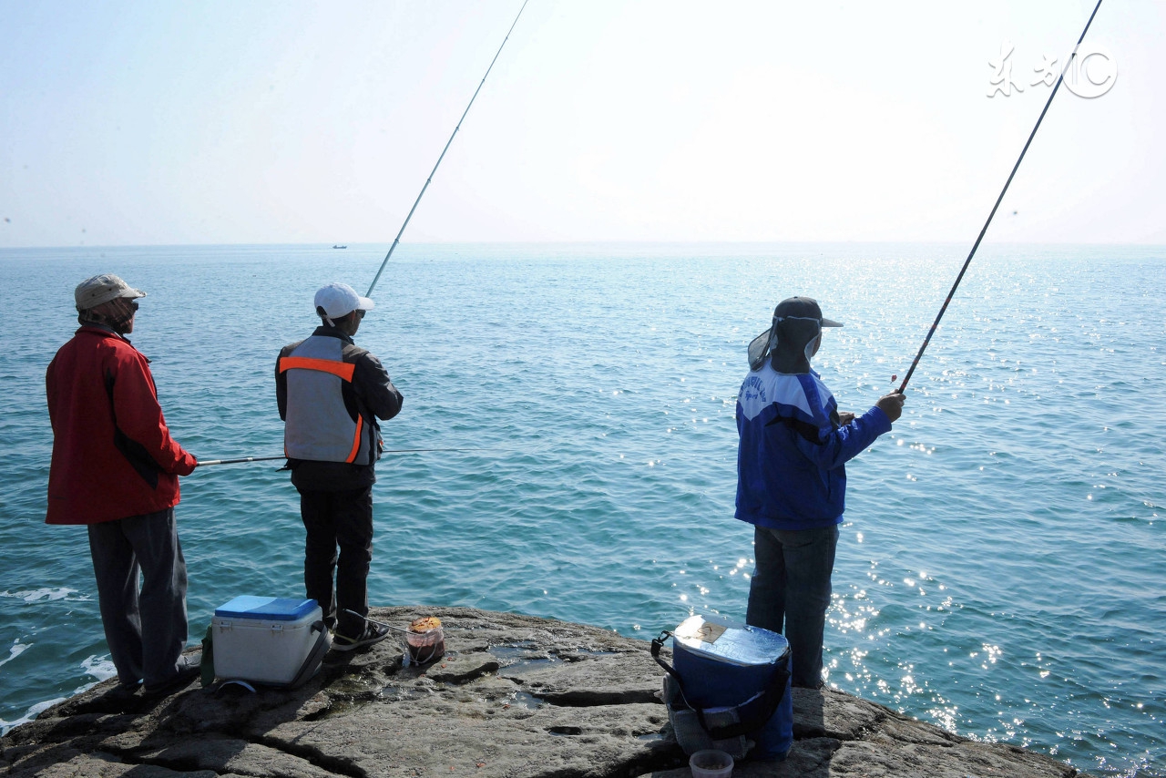 了解路亚竿的方法,了解路亚的视频