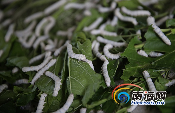 驻村生活vlog,农村驻村扶贫vlog