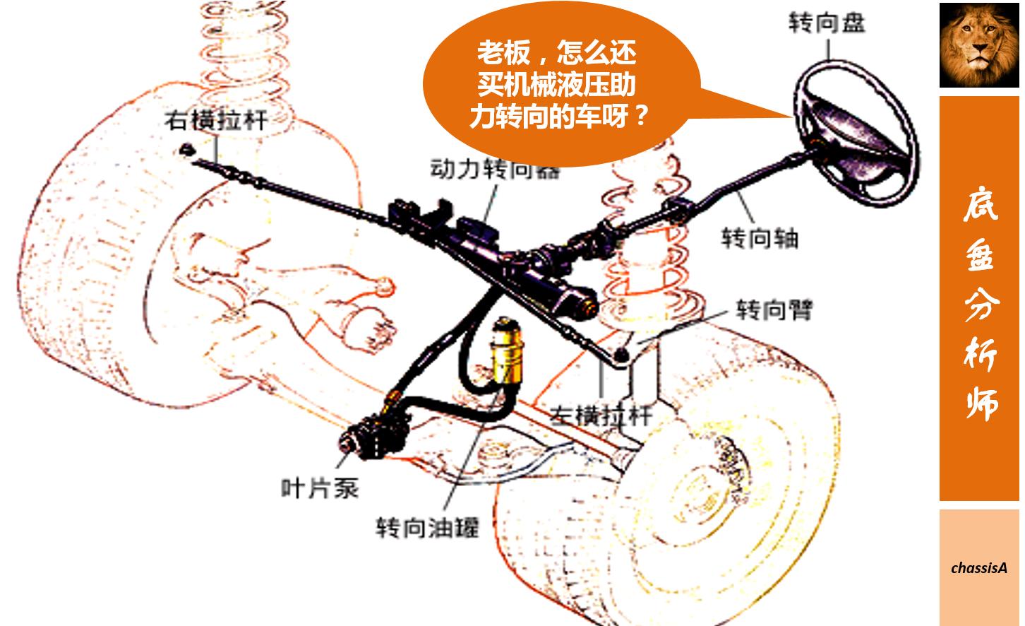 MS、HPS、EHPS、EPS哪种好？为什么她偏偏只喜欢EPS！