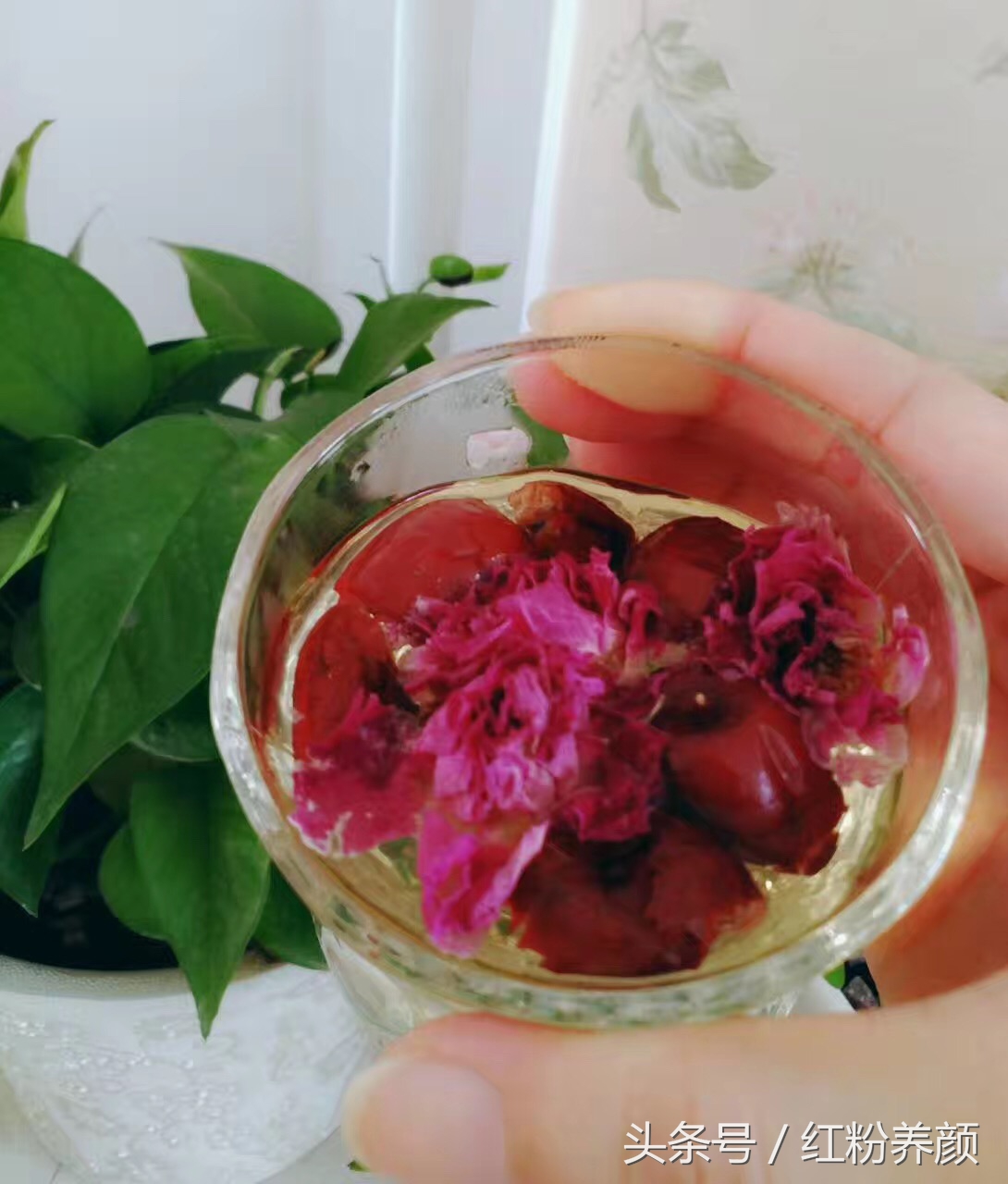 玫瑰花茶单独喝,玫瑰花茶该怎么喝更香