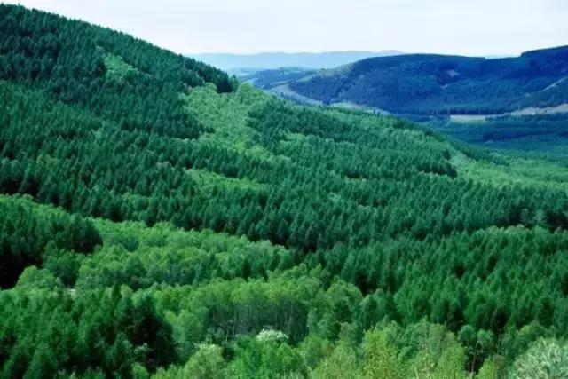 承德市启动绿色引擎增强发展动力,承德市绿色发展的生态效益