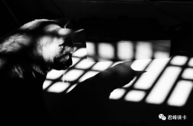 徕卡镜头m50f2.0版本有哪些,便宜的徕卡相机推荐