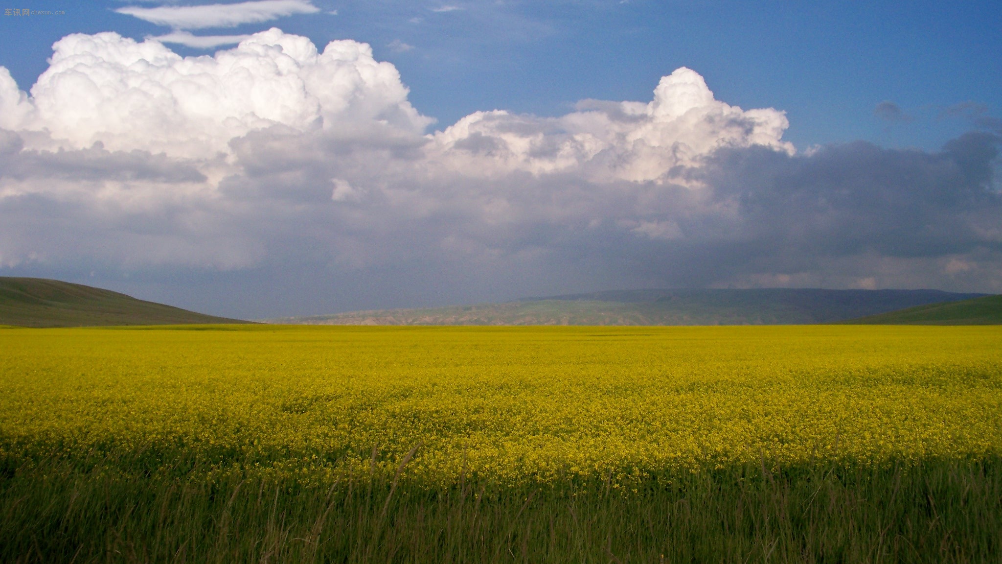 亚洲第一马场山丹军马场,世界第一大马场