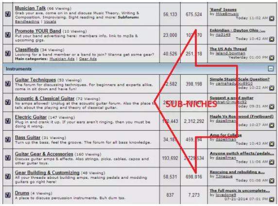 如何找到有利润点的利基(Niche)产品?