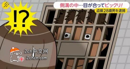 日本网民评论：TMA将推出从下水道观看高中妹子胖次的VR作品