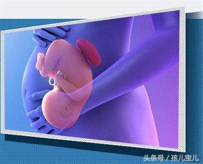 引产的痛能忍受吗,引产的过程有什么痛苦