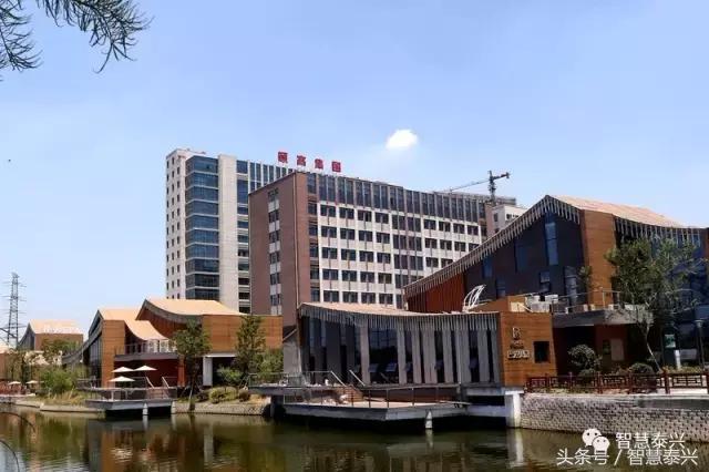 曲福田史立军分别带队观摩泰兴6个重大项目现场