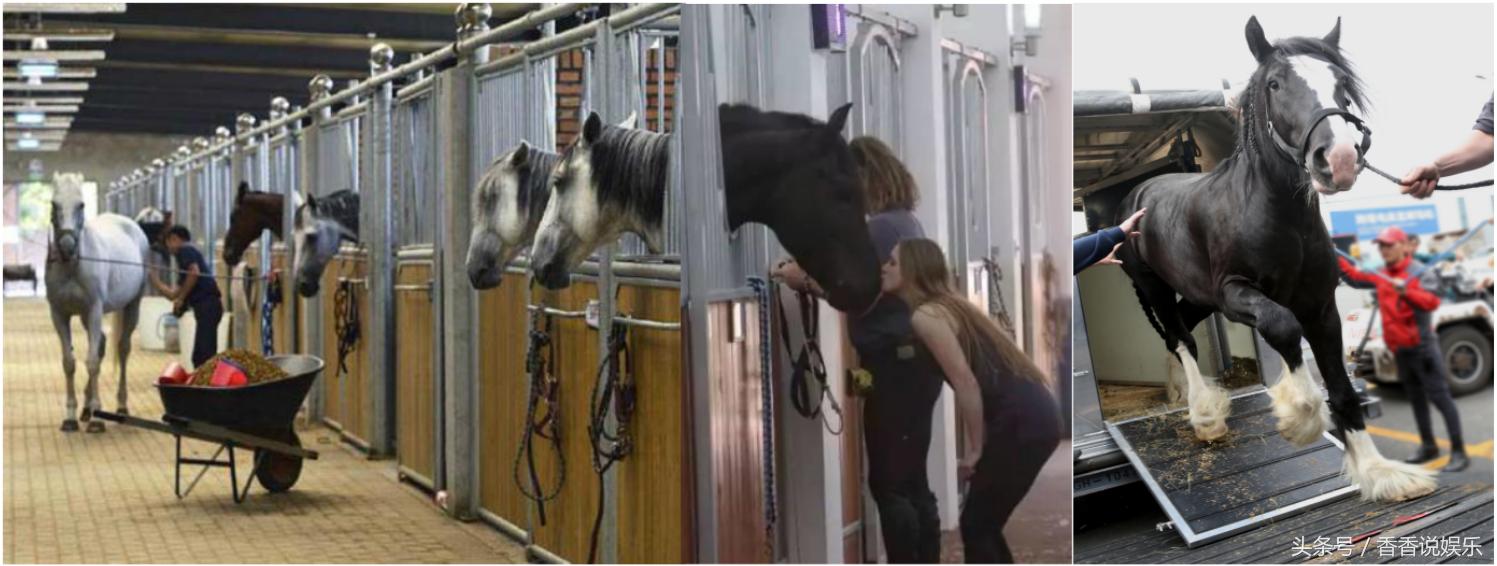 史诗马秀特洛伊多少集,马秀特洛伊套票价格