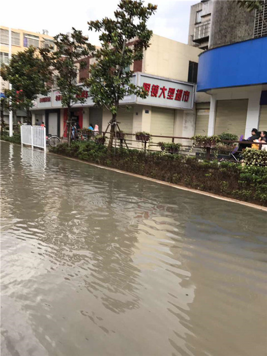 鏆撮洦琚煄韬奖瑙嗛,鏆撮洦琚煄杞﹁締琛屼汉瑙嗛