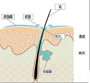 luna洗脸仪真的洗得干净吗,luna洁面仪起了小黑点怎么清洁