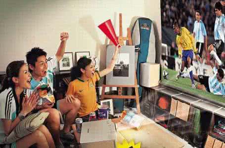 足球迷的基本功,足球迷分类