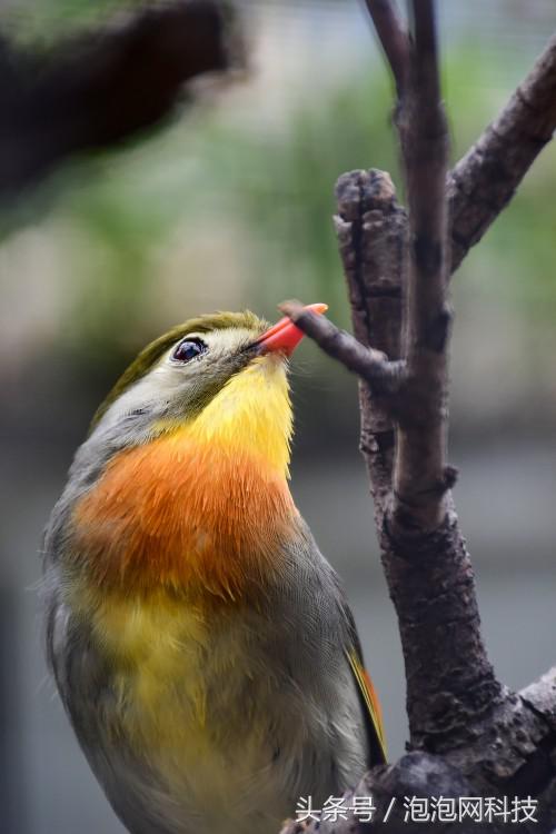 尼康d7500属于什么级别的单反,尼康d7500各种环境下的拍摄参数