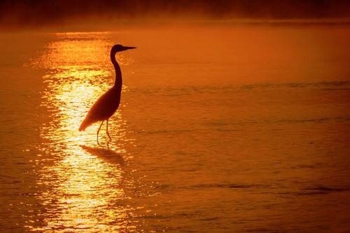 方大炭素股票值得长期持有吗,方大炭素股票属于什么板块