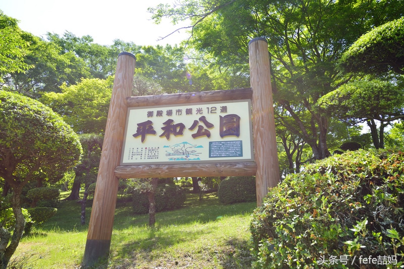 丽星邮轮日本游攻略视频,丽星邮轮厦门启程日本旅游