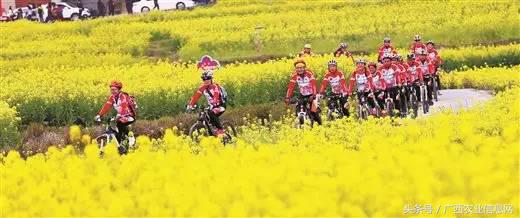 暑假去哪里旅游好进广西,暑假去哪里玩好玩又便宜广西