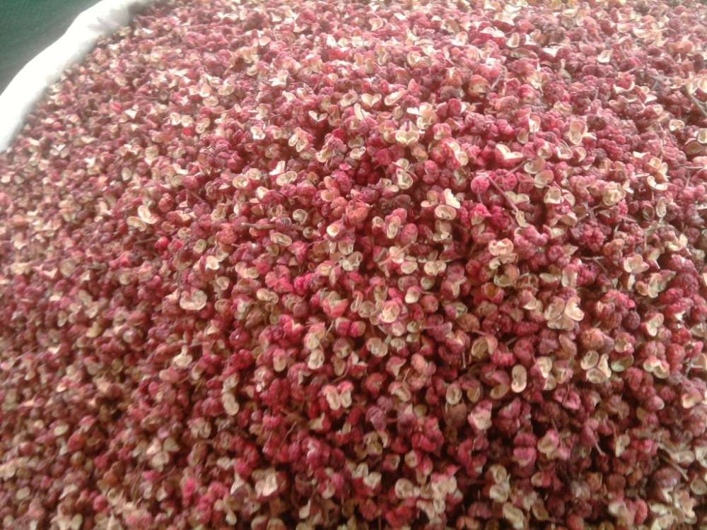 脚上长脚气很痒有什么偏方可以治,大蒜食醋真能治脚气别被偏方误导