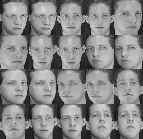 比较图像相似度的方法python,pytorch人脸识别教程